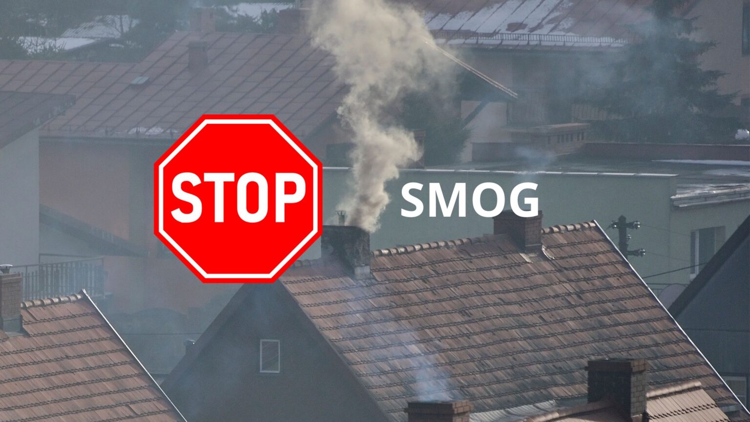 program stop smog